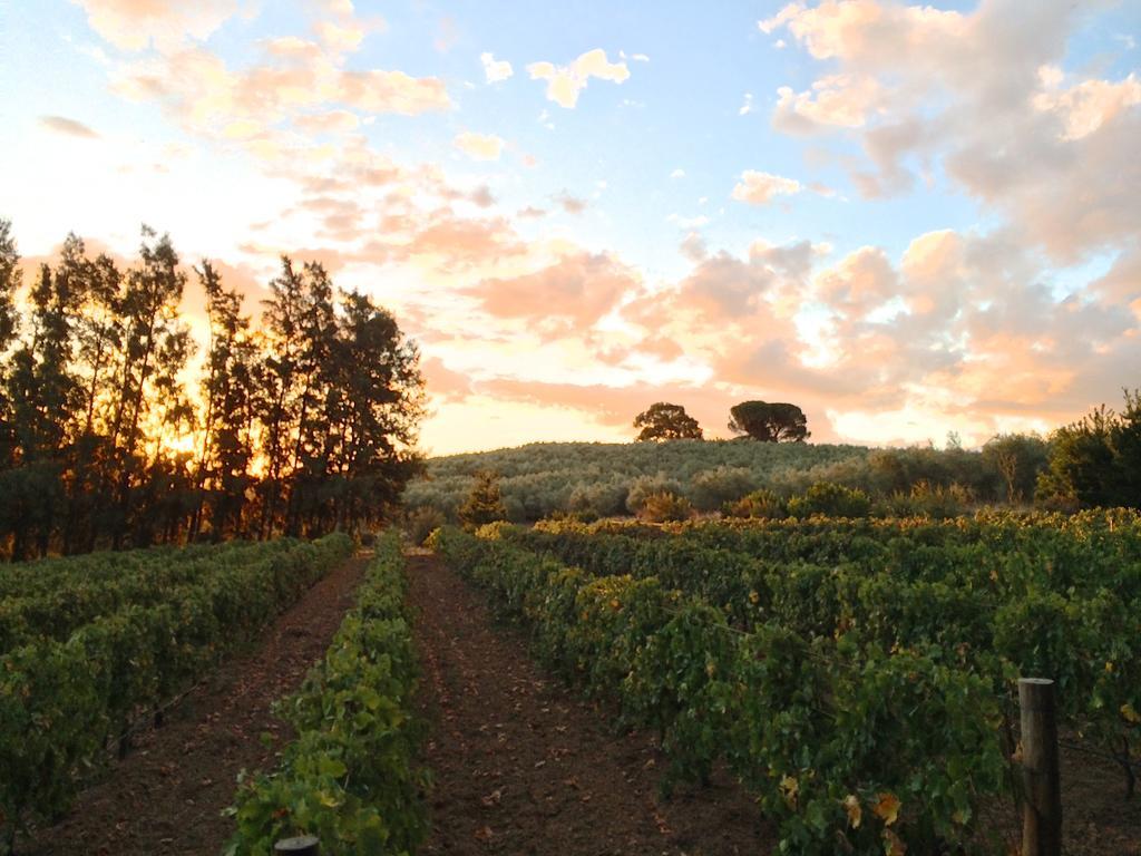 Calais Wine Estate Hostal Paarl Exterior foto